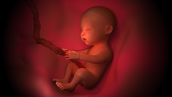 Preview Image Baby Moves Inside A Mothers Womb